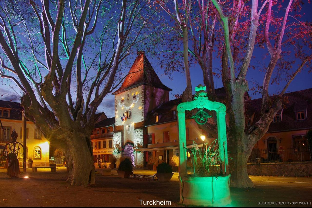 Chalet Du Silberrain Pres De Colmar - Cheminee, Sauna, Piscine Partagee Osenbach Exteriér fotografie