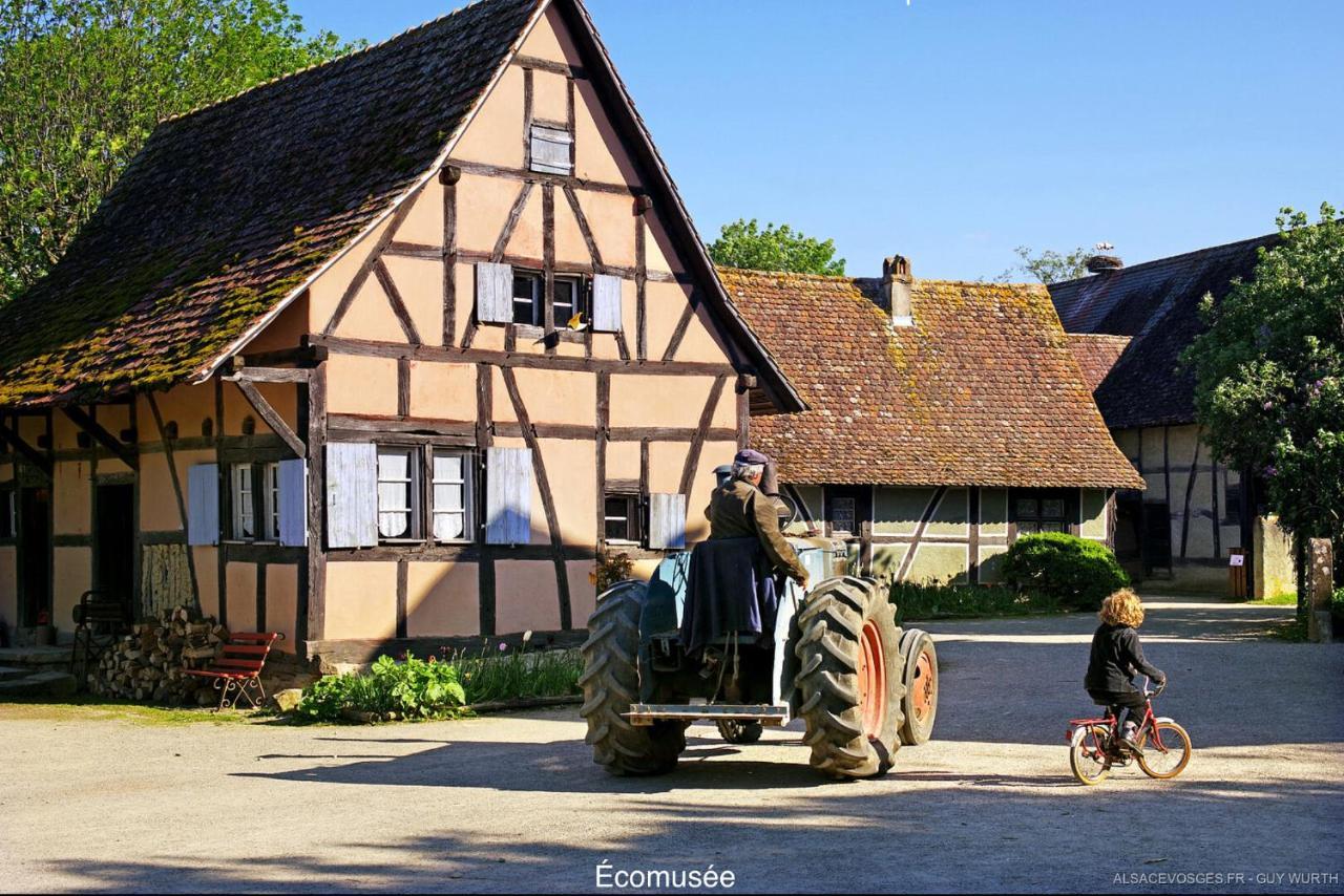 Chalet Du Silberrain Pres De Colmar - Cheminee, Sauna, Piscine Partagee Osenbach Exteriér fotografie