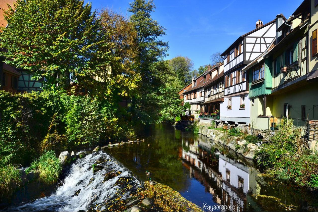 Chalet Du Silberrain Pres De Colmar - Cheminee, Sauna, Piscine Partagee Osenbach Exteriér fotografie